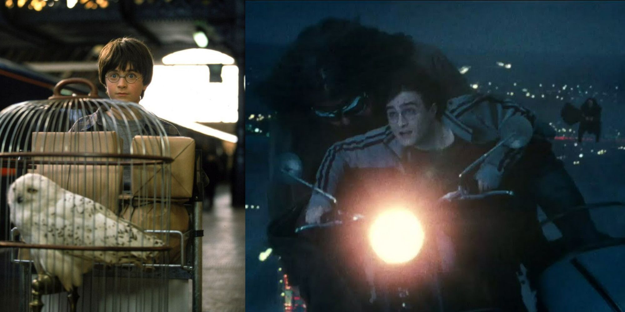 Harry Potter Plot Holes That The Movies Fixed Hedwig Death