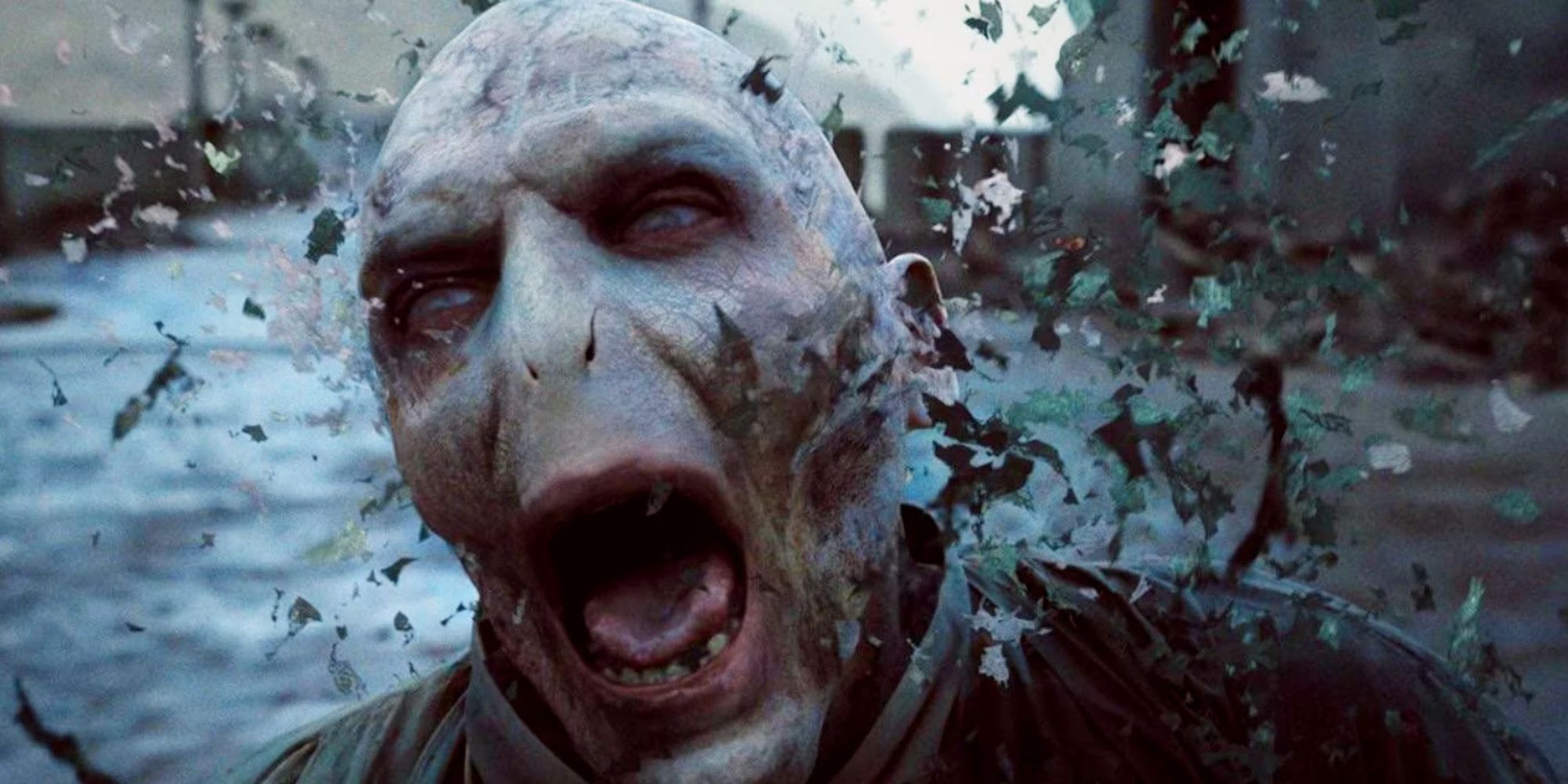 Harry Potter Plot Holes That The Movies Fixed Voldemort Death