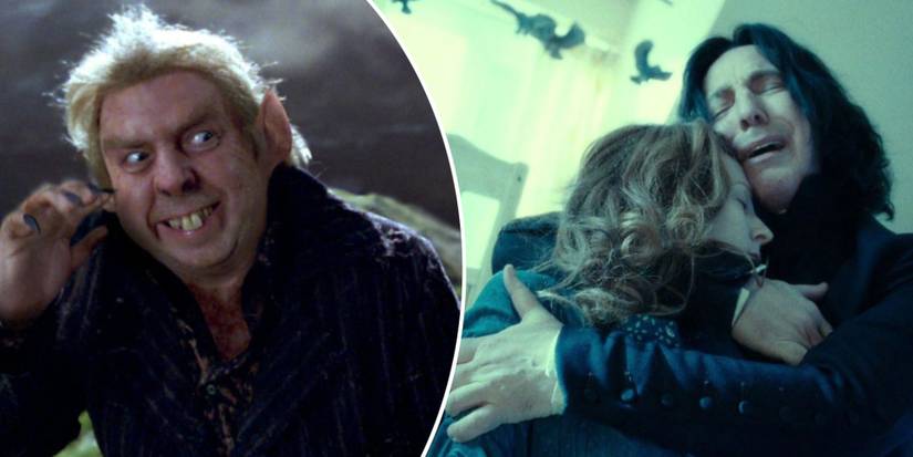 Harry Potter Ways Neville Longbottom Could Be The Perfect Chosen One Traitors Snape and Peter Pettigrew