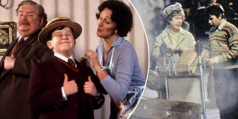 Harry Potter Ways Neville Longbottom Could Be The Perfect Chosen One The Dursleys vs Augusta