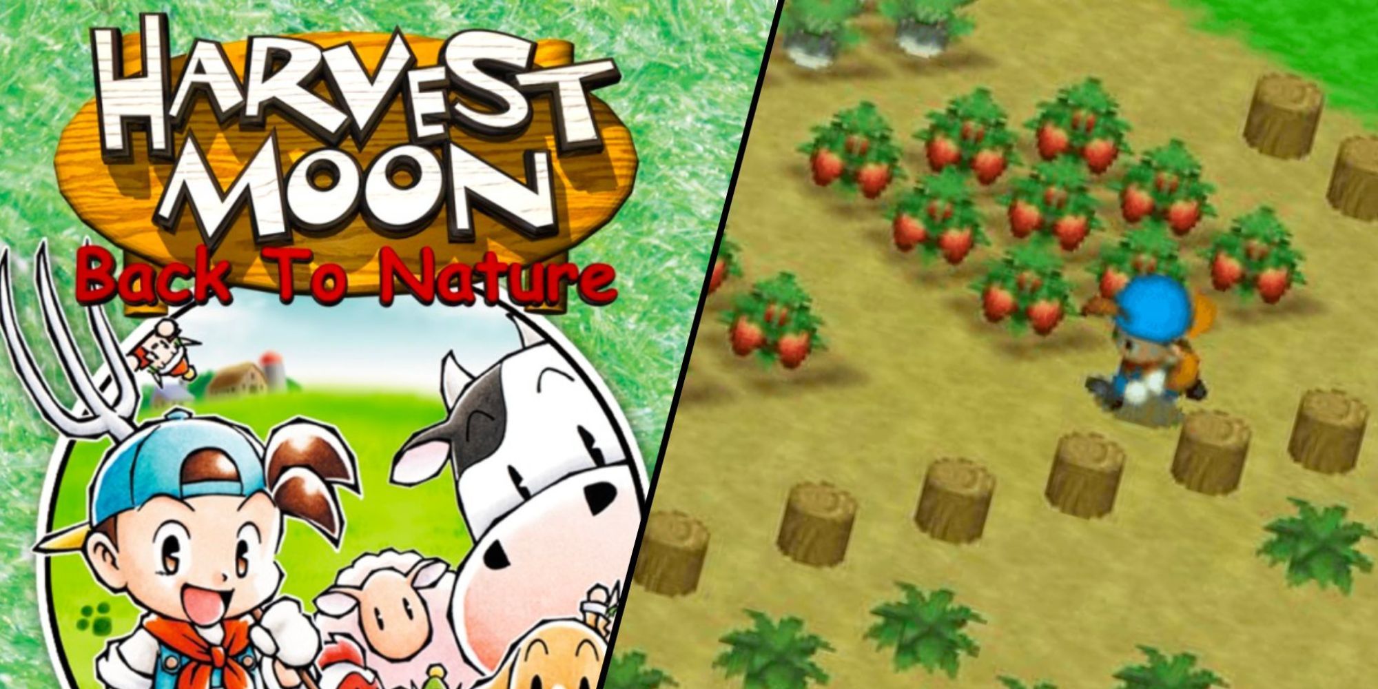 Harvest Moon - Back To Nature Logo and Gameplay