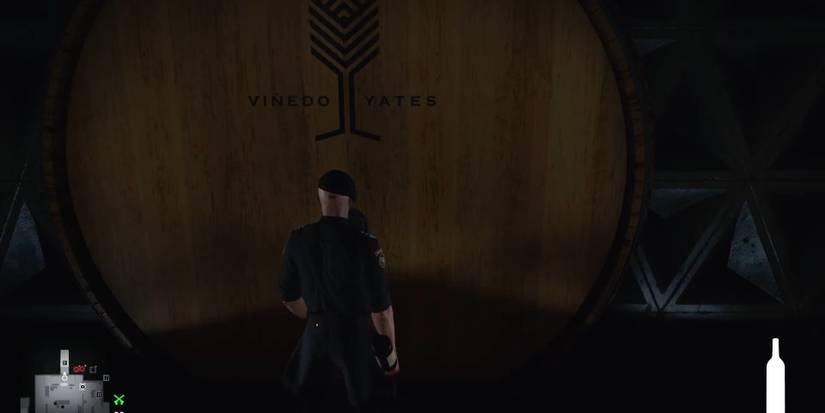 Hitman World Of Assassination Head Of Security Disguise