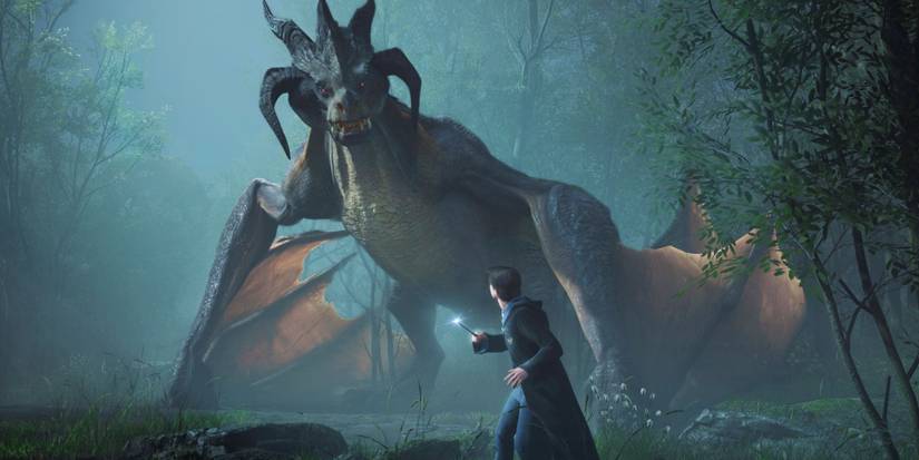 hebridean black dragon vs a hogwarts student