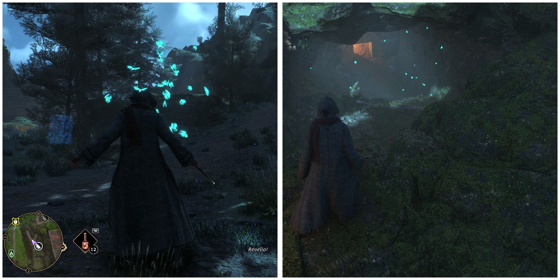 hogsmeade valley fireflies location in hogwarts legacy