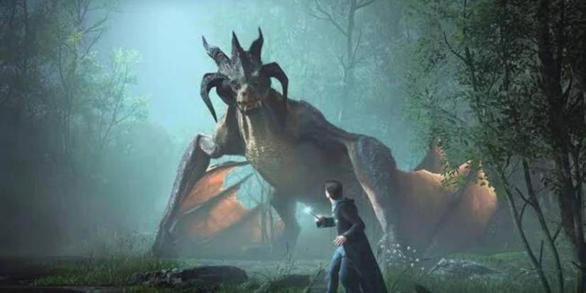 Dragon and wizard in Hogwarts Legacy