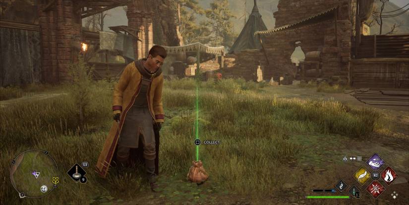 hogwarts legacy wiggenweld enemy drop