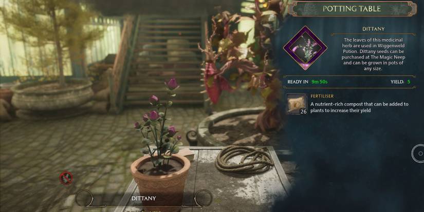 hogwarts legacy growing dittany leaves