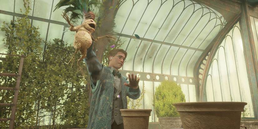 Hogwarts Legacy Herbology Class Mandrake
