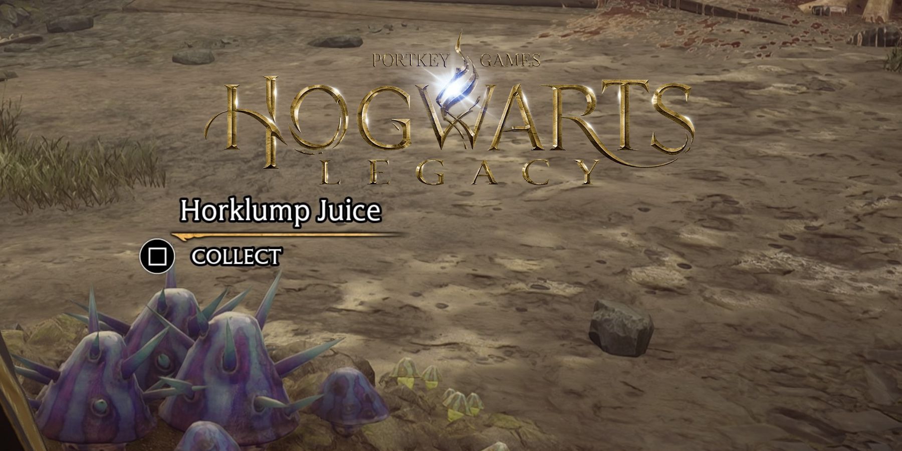 hogwarts legacy horklump juice guide