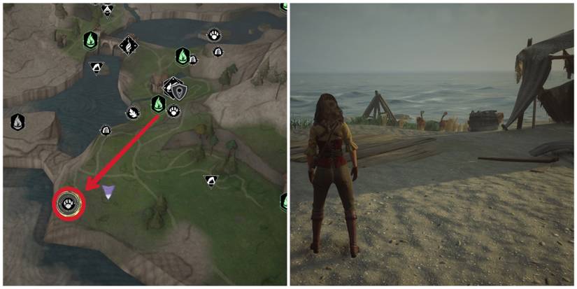 hogwarts legacy kneazle location in marunweem