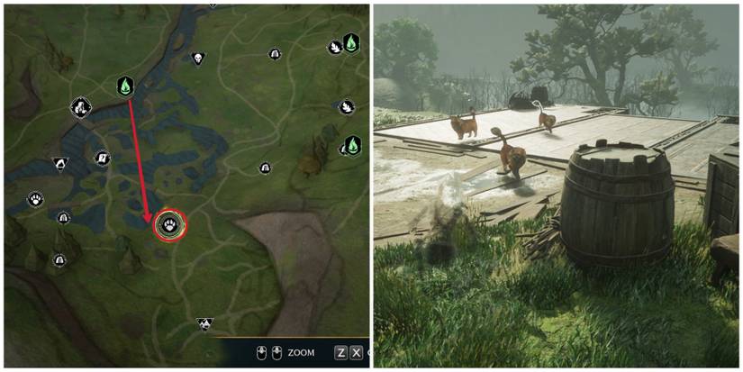 hogwarts legacy kneazle location in the northern south sea bog