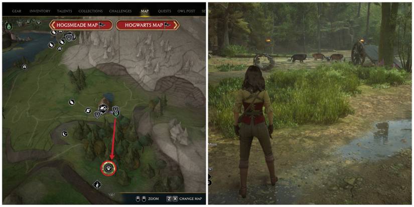 hogwarts legacy kneazle locationin the brocburrow