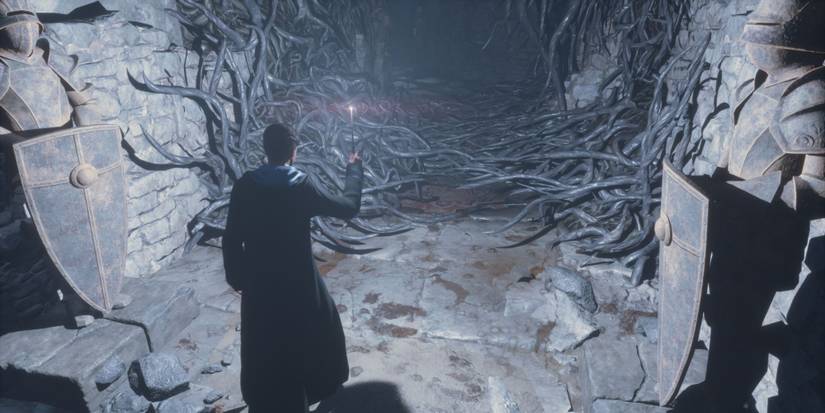 Hogwarts Legacy Lumos and Devil's Snare