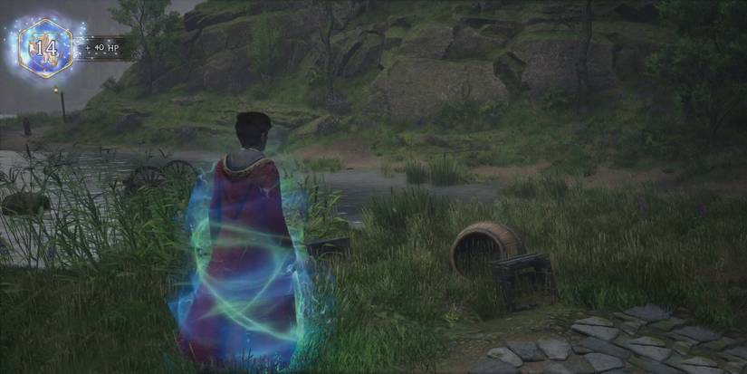hogwarts-legacy-max-level-level14
