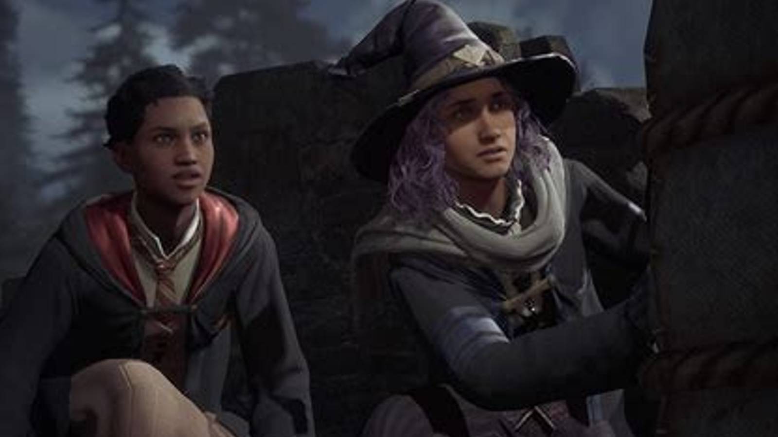 Hogwarts Legacy No Romance Why