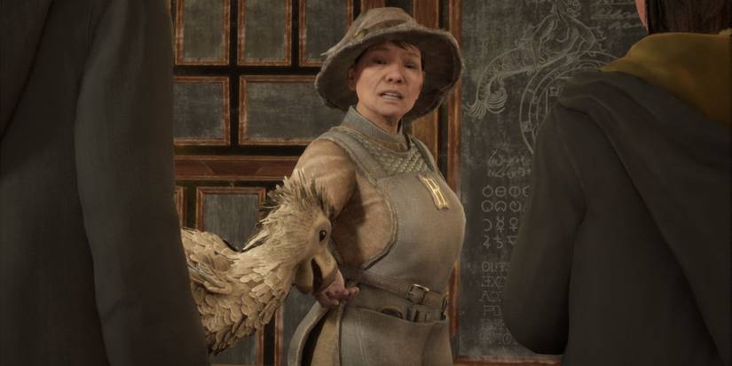 Hogwarts Legacy Professor Bai Howin