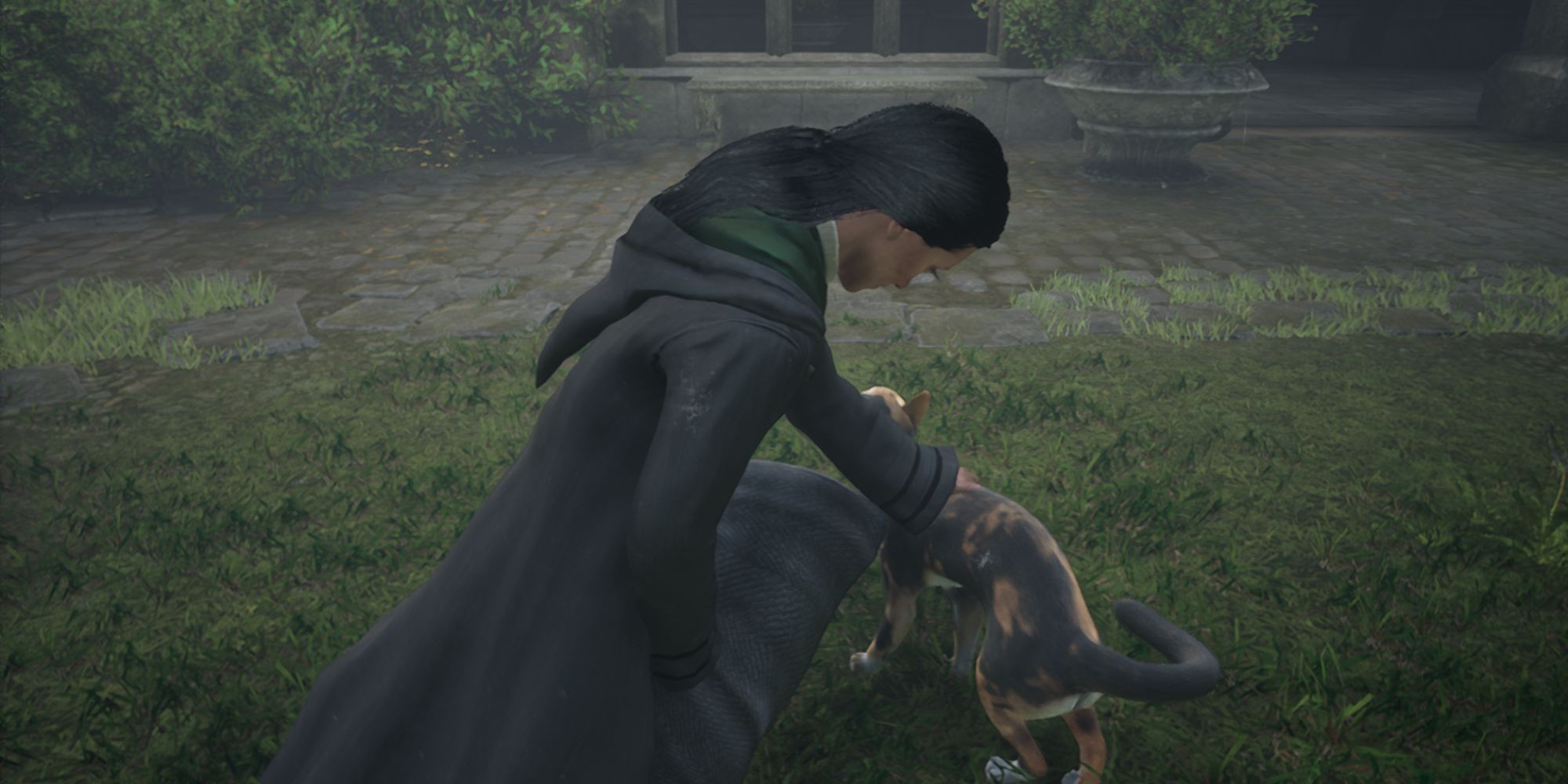 Hogwarts Legacy Slytherin Witch Petting Cat