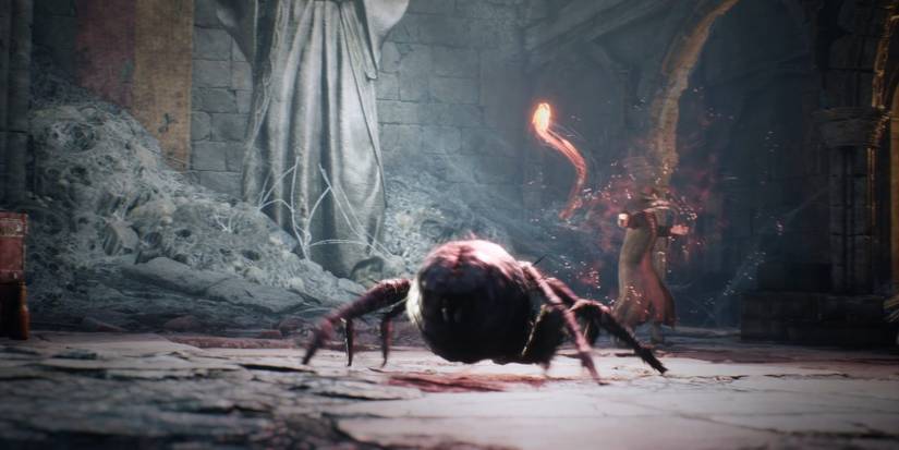 Hogwarts Legacy spider fight