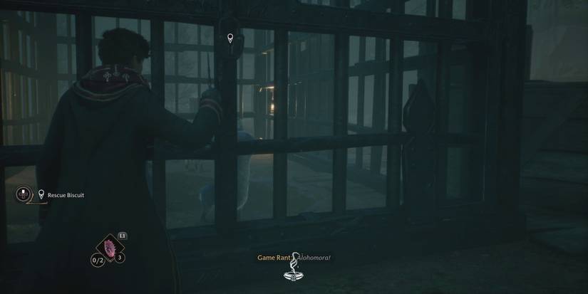 hogwarts-legacy-take-the-biscuit-side-quest-walkthrough-unlock-cage