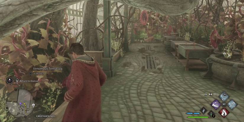 hogwarts-legacy-venomous-revenge-side-quest-walkthrough-venomous-tentacula-location-greenhouse