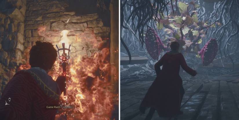 hogwarts-legacy-venomous-valour-side-quest-walkthrough-get-proof