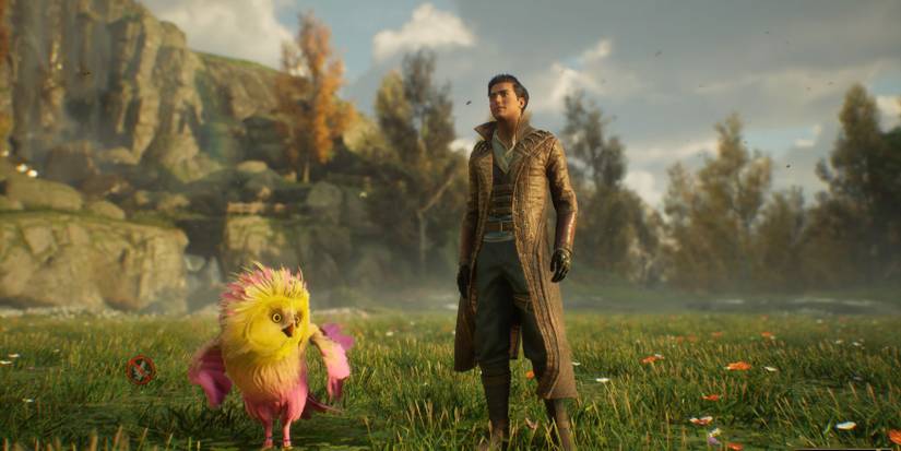 hogwarts legacy where to find fwoopers