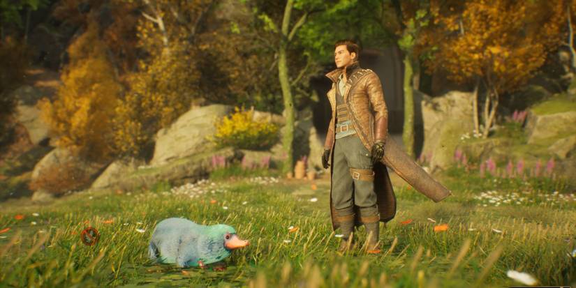 hogwarts legacy where to find nifflers