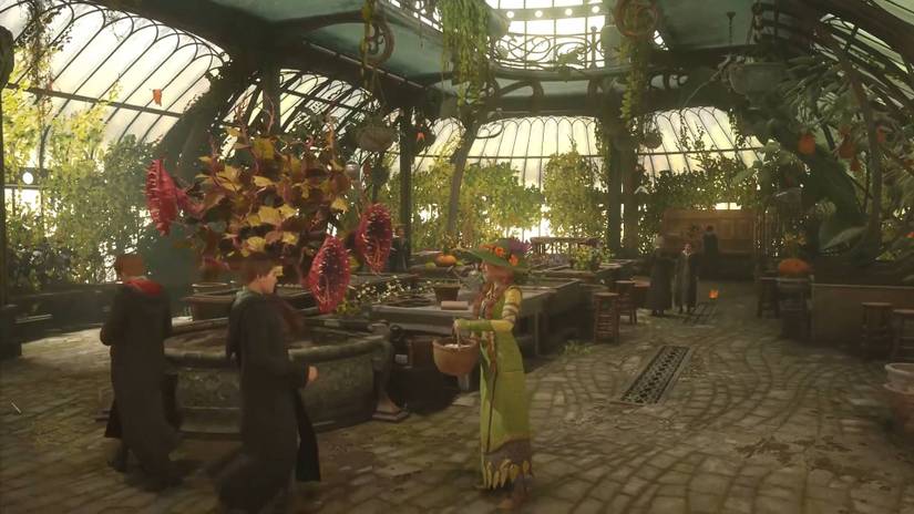 Hogwarts Legacy_Walkthrough_Part 4_Herbology Class