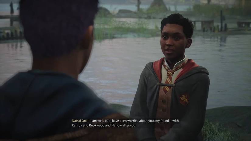 Hogwarts Legacy_Walkthrough_Part 4_Lower Hogsfield Natty