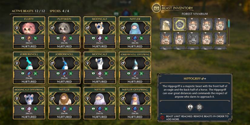 how to catch a shiny hippogriff in hogwarts legacy