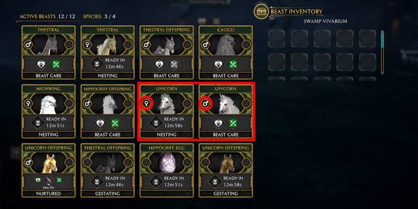 how to catch female and male unicorns in hogwarts legacy