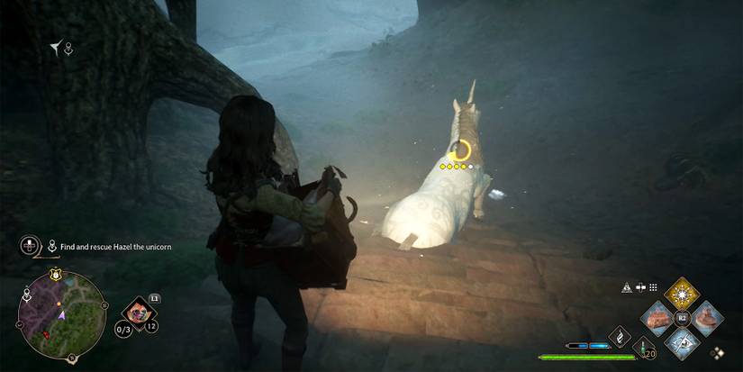 how to catch hazel in hogwarts legacy