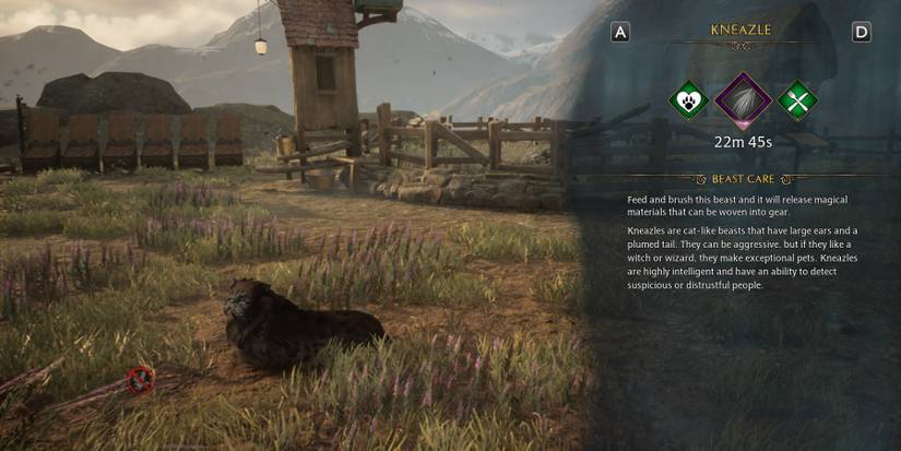 how to catch kneazles in hogwarts legacy