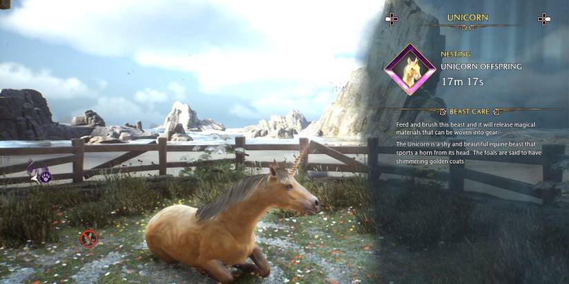 how to catch shiny unicorn in hogwarts legacy