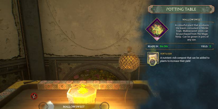 how to plant mallowsweet in hogwarts legacy