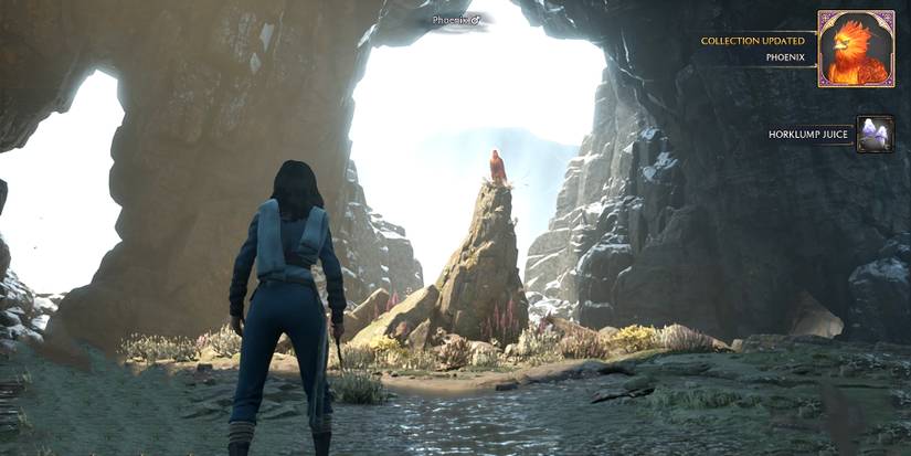 how to rescue a phoenix in hogwarts legacy