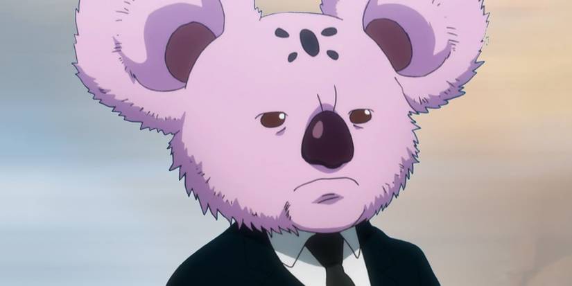Hunter x Hunter Side Characters Koala