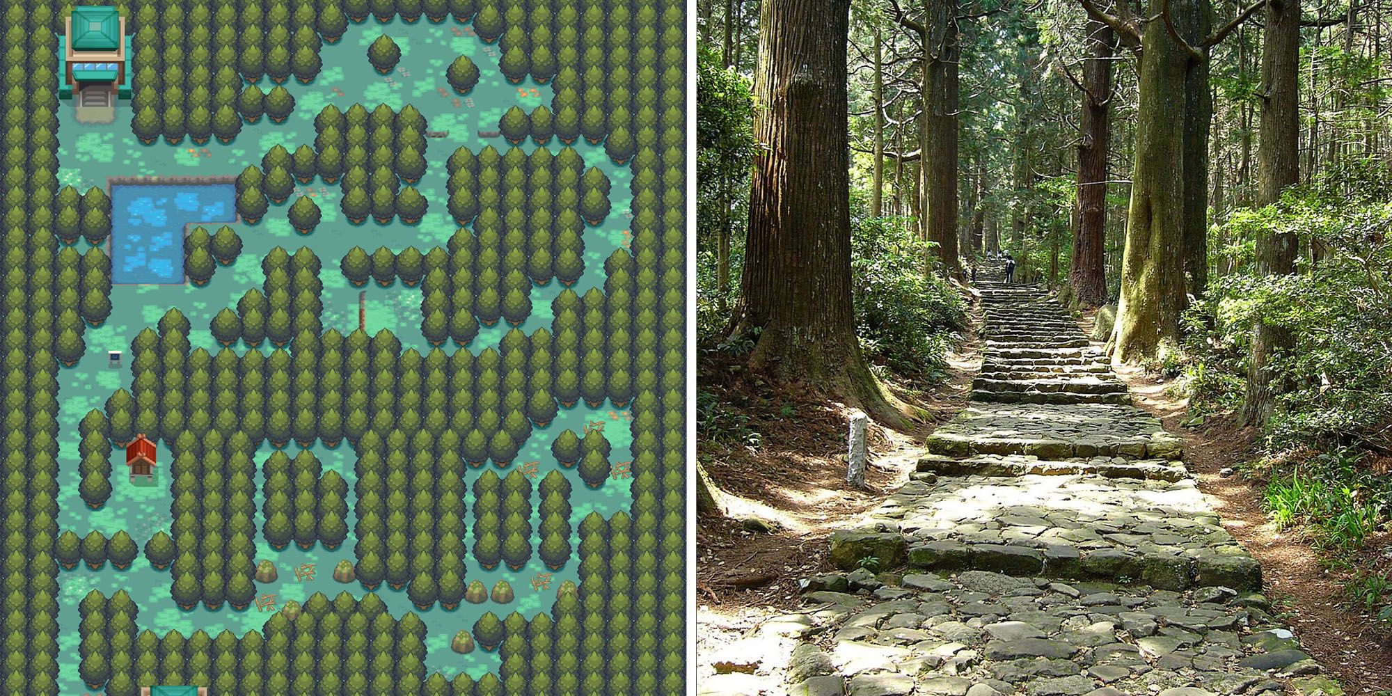 Ilex Forest comparison to Kumano Kodō