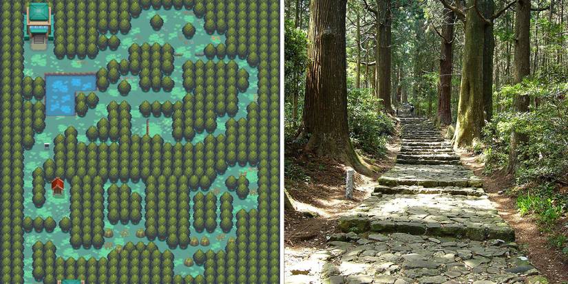 Ilex Forest comparison to Kumano Kodō
