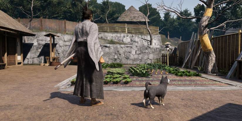 Ishin Mistakes- Another Life