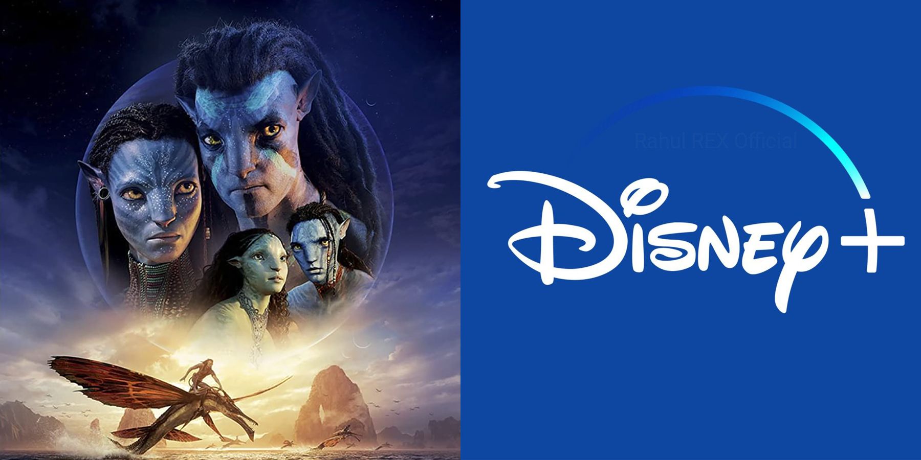James Cameron Avatar Spinoffs Disney Plus