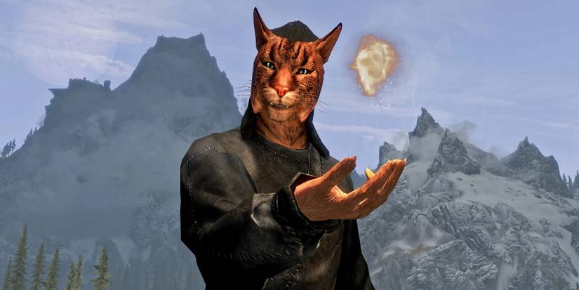 Khajiit Will Follow mod for Skyrim