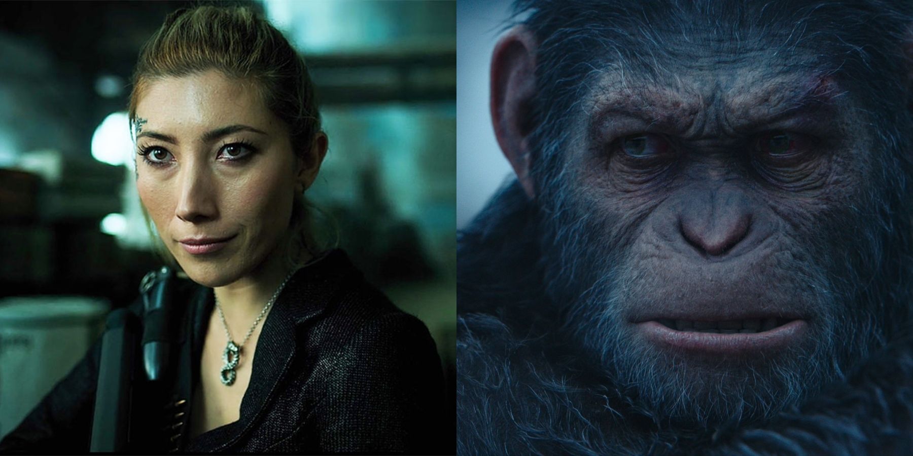 Kingdom of the Planet of the Apes Separation by Dichen Lachman