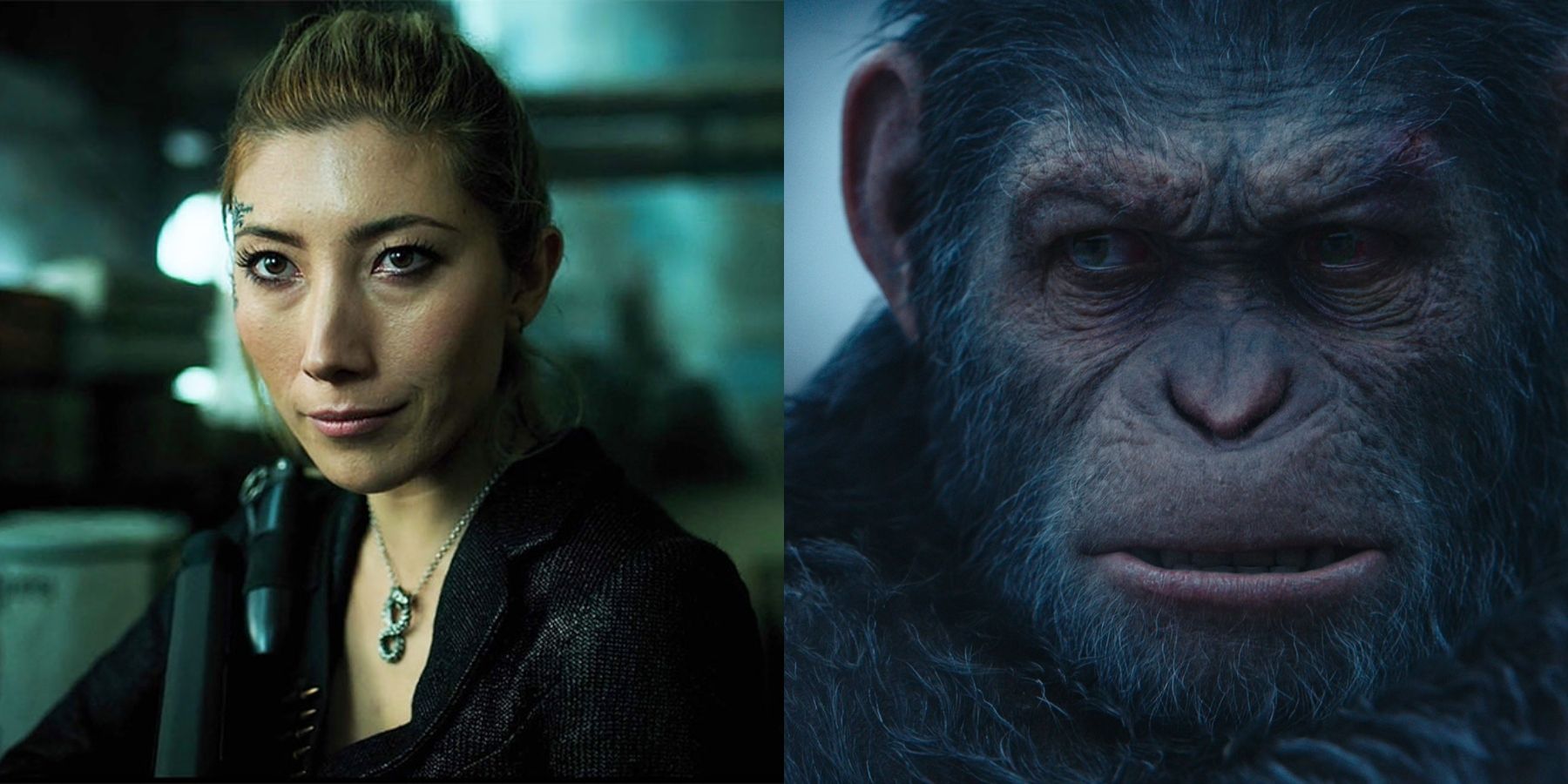 Kingdom of the Planet of the Apes Severance Dichen Lachman