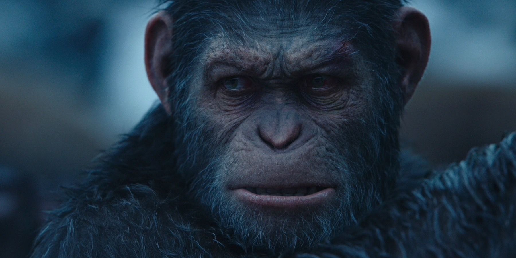 Kingdom of the Planet of the Apes Wraps Filming