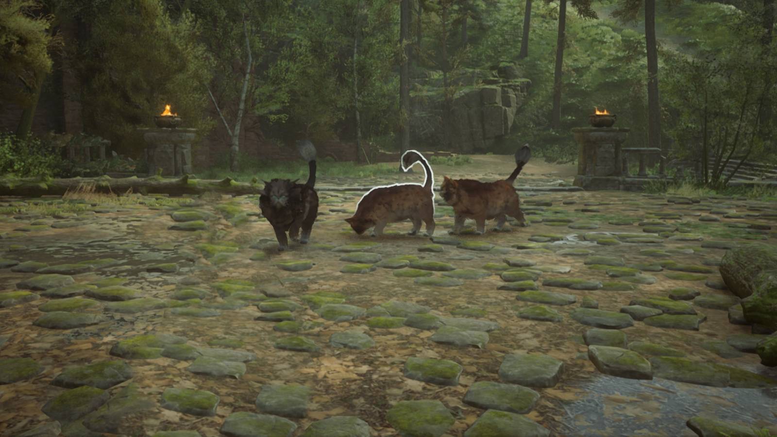 kneazles in hogwarts legacy