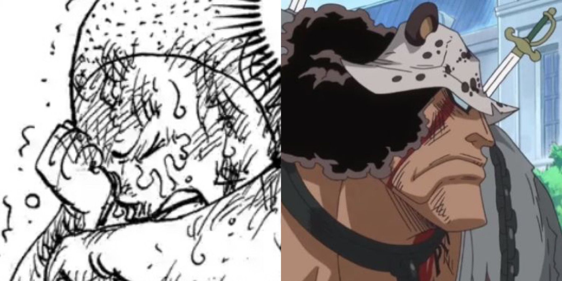 One Piece: A Glimpse Of Kuma's Life, Explained