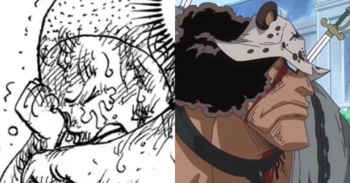 kuma-one-piece.jpeg?w=1200&h=