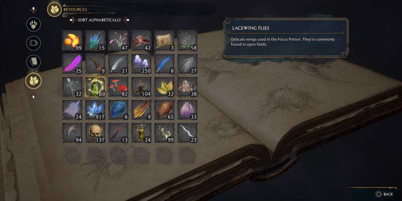 Lacewing Flies in Hogwarts Legacy