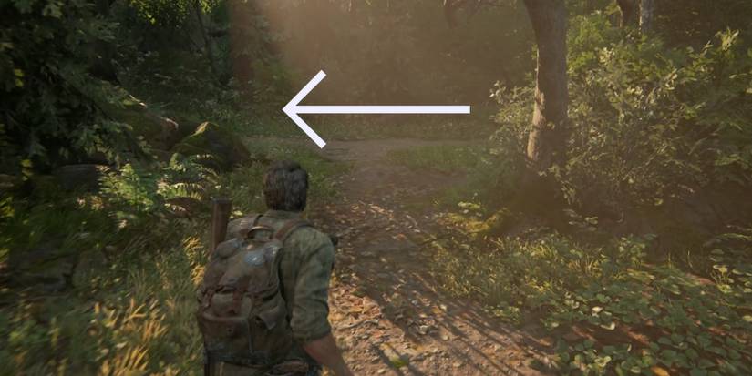 last of us part 1 bill's town woods